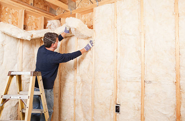 Best Wall Insulation Installation in Ferguson, MO